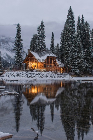Home image